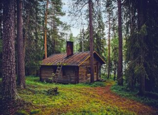 Ile kosztuje Finlandia w Lidlu?