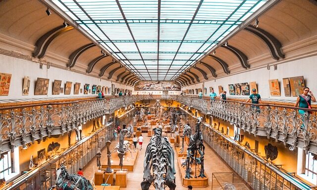 Kto ma udziały w Dino?