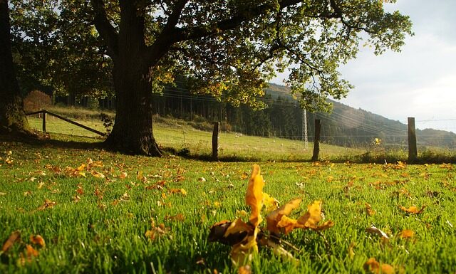 Ile trzeba mieć procent na ocenę 2?