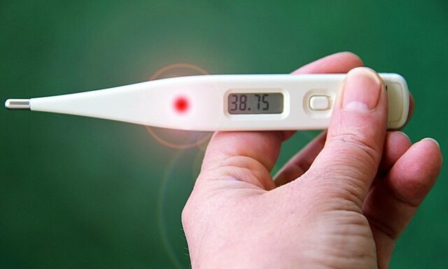 Jak określić stopień realizacji podstawy programowej?