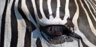 Czego nie wolno robić w rezerwacie przyrody?