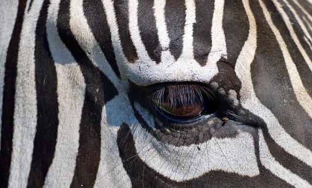 Czego nie wolno robić w rezerwacie przyrody?