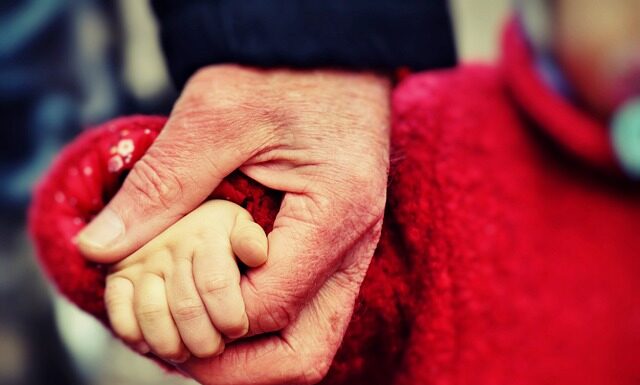 Co można zrobić aby chronić zwierzęta i rośliny?