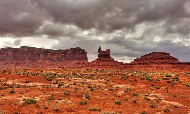 Ile w Polsce jest pomników przyrody?