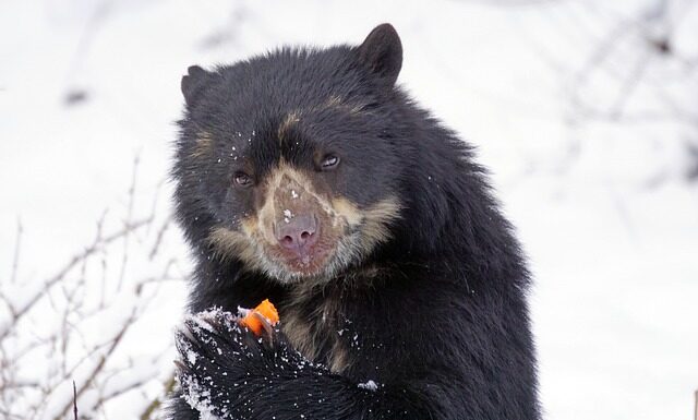 Jak chronić rezerwaty przyrody?