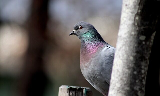 Ile jest parków krajobrazowych w Polsce?