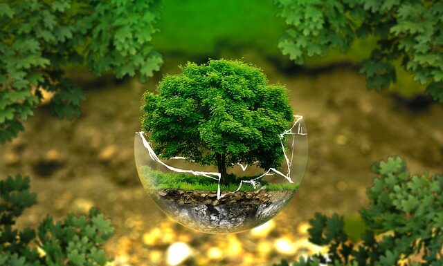 Co chroni rezerwat przyrody?